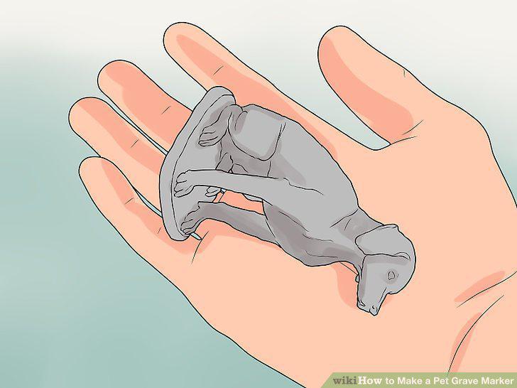 Step 18