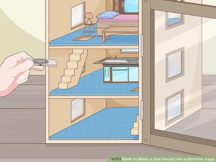Step 12