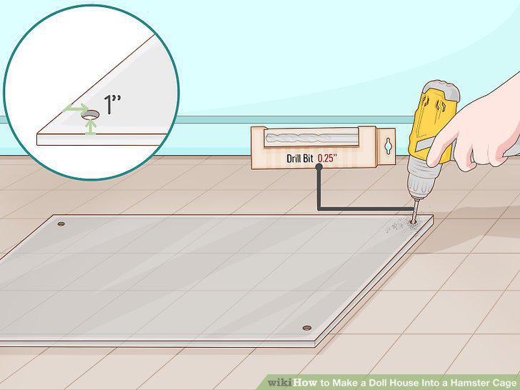 Step 5