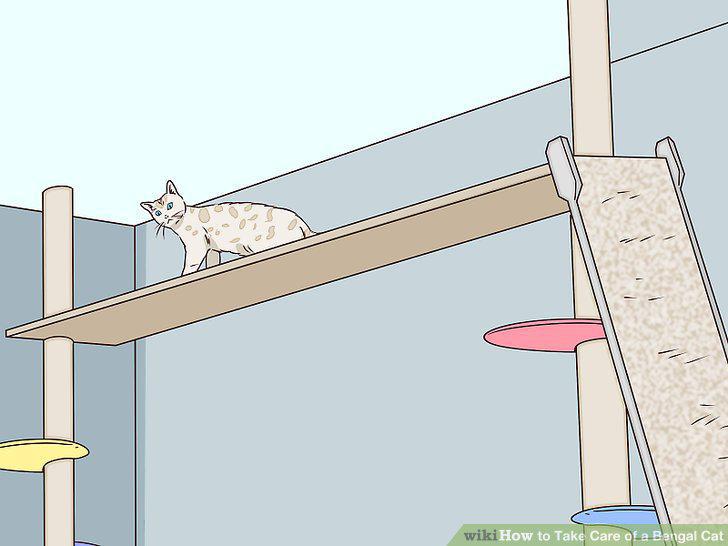 Step 11