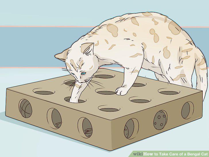 Step 12
