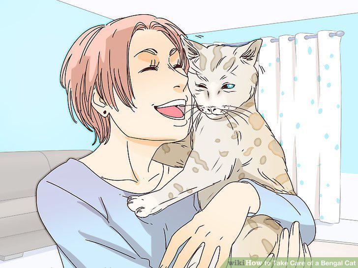 Step 13