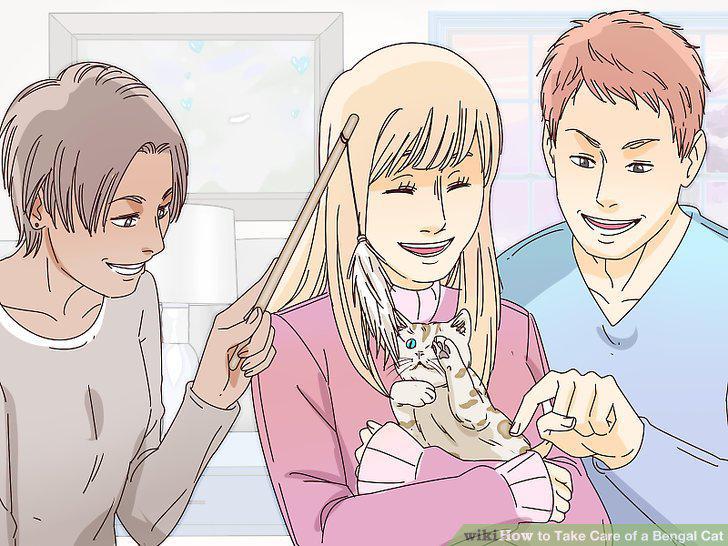 Step 14