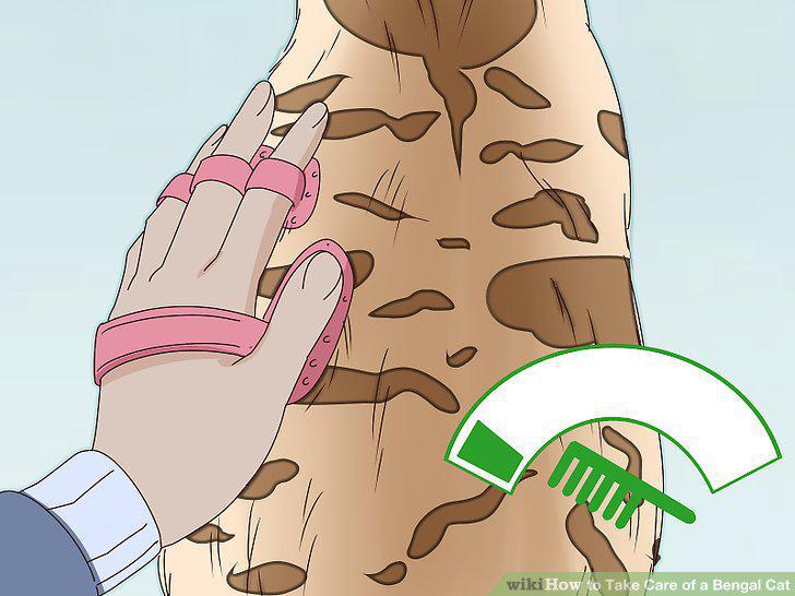 Step 4