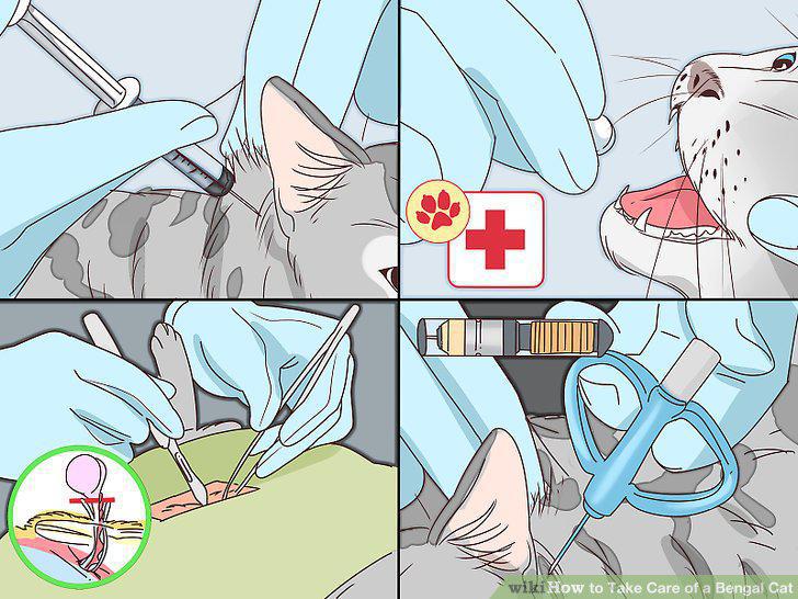 Step 5