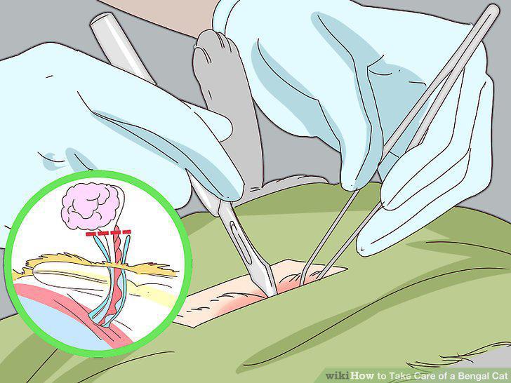 Step 7