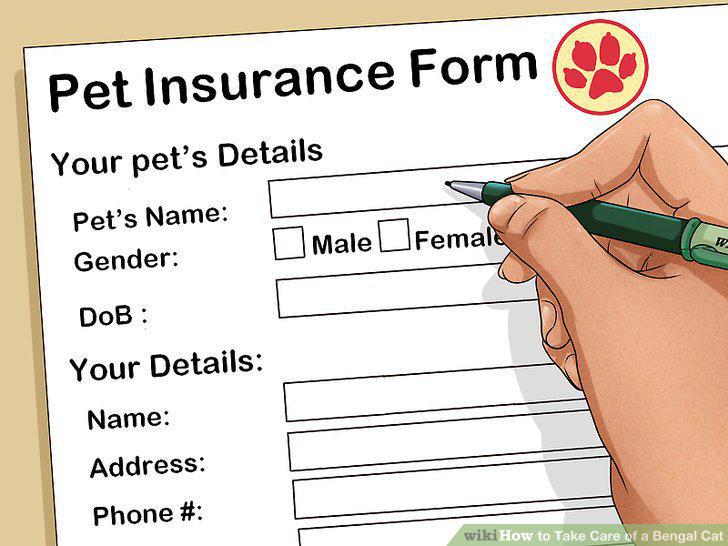 Step 10