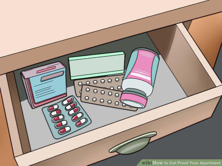 Step 12