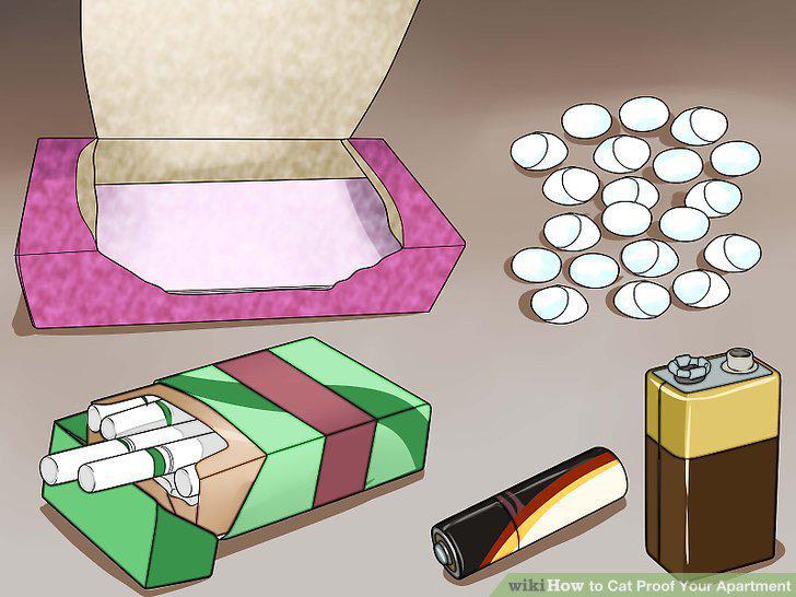 Step 13