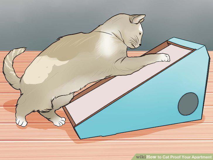 Step 14