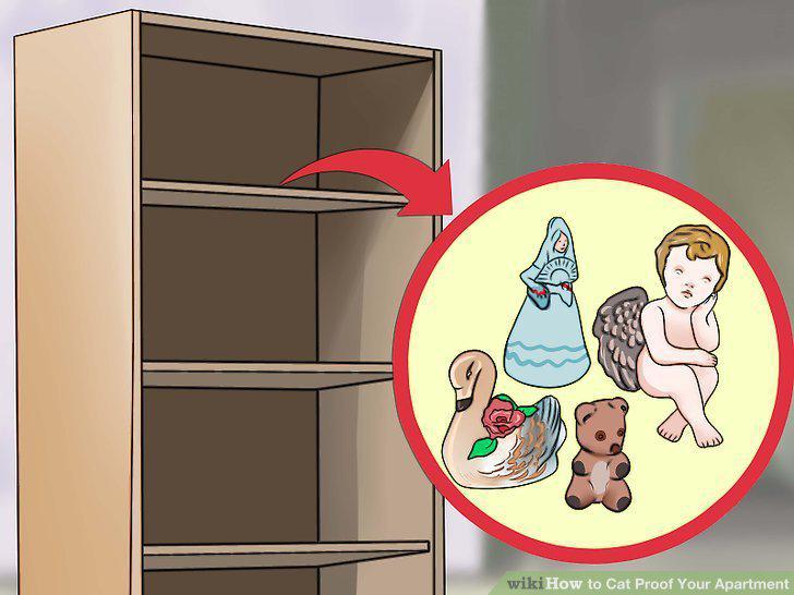 Step 15