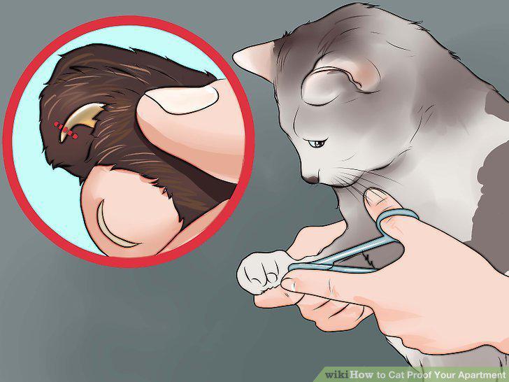 Step 16