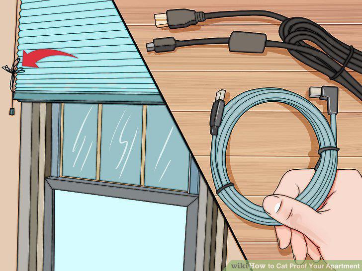 Step 10