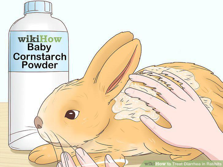 Step 12