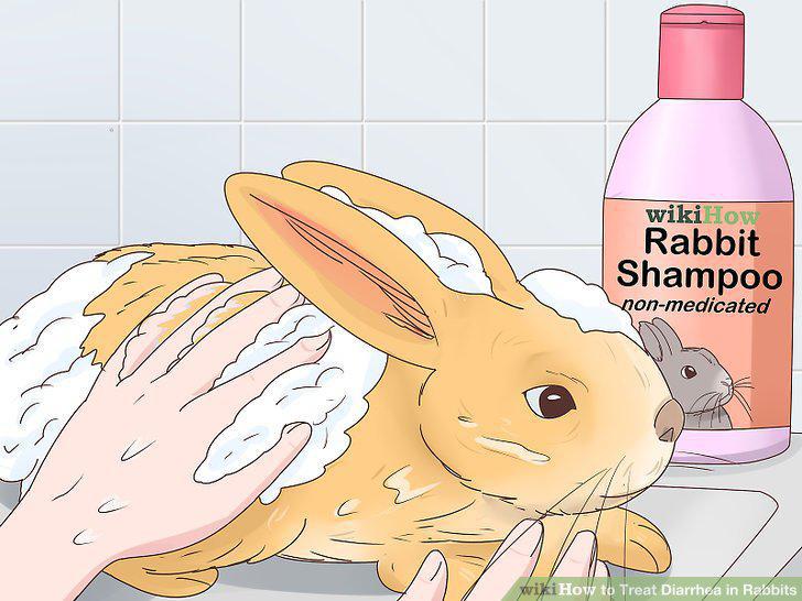 Step 13