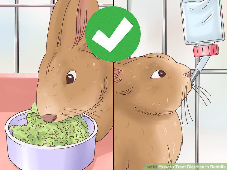 Step 14