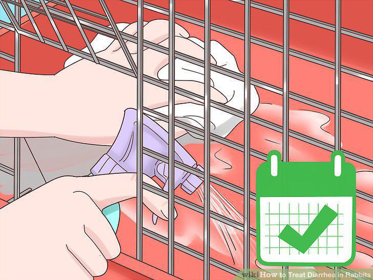 Step 15