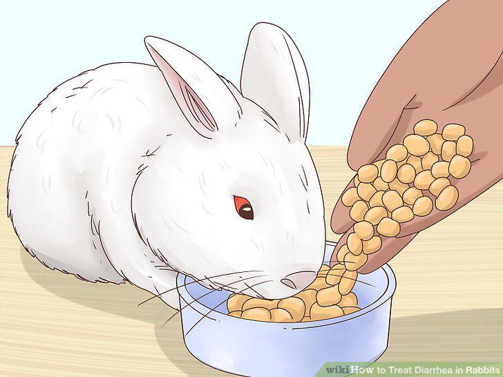 Step 9