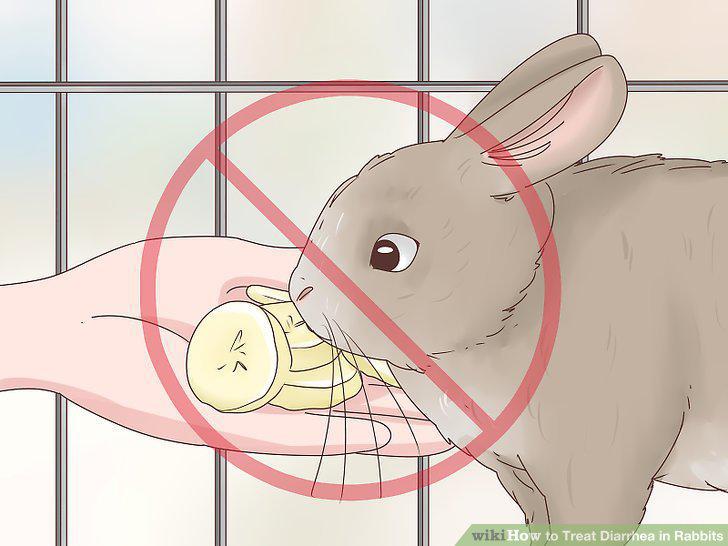 Step 10