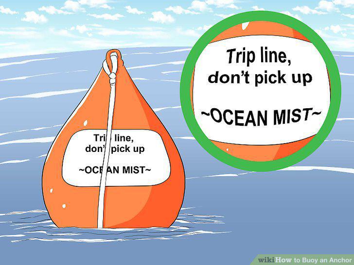 Step 11