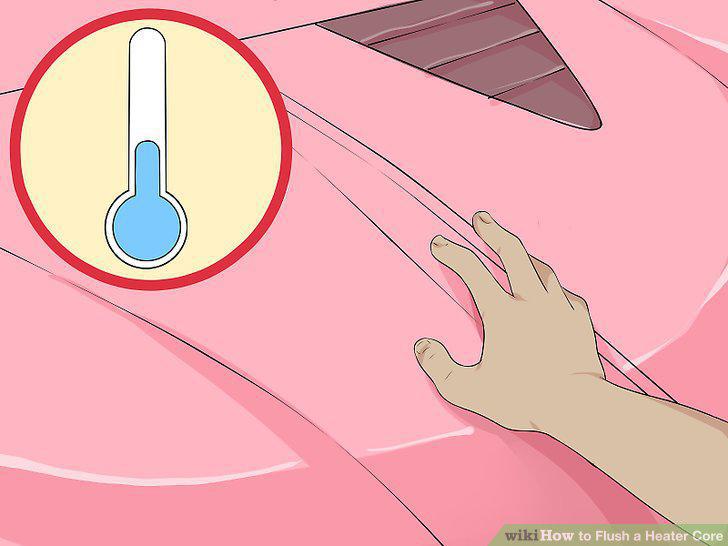 Step 12