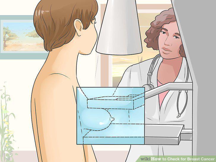Step 15