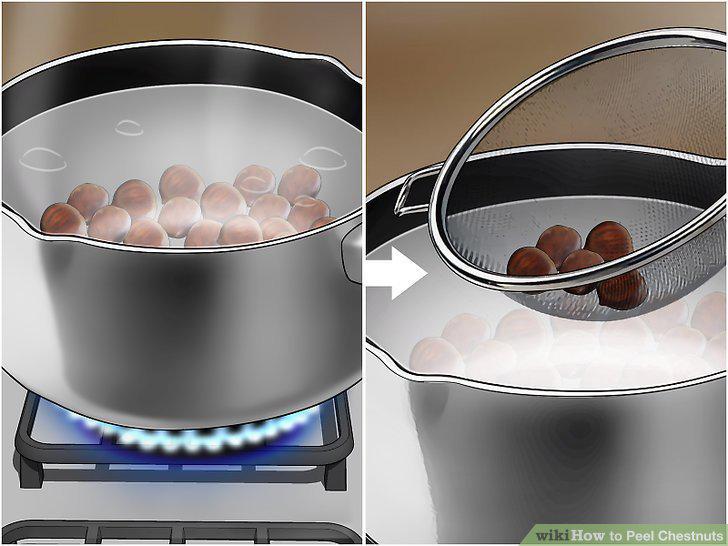 Step 11