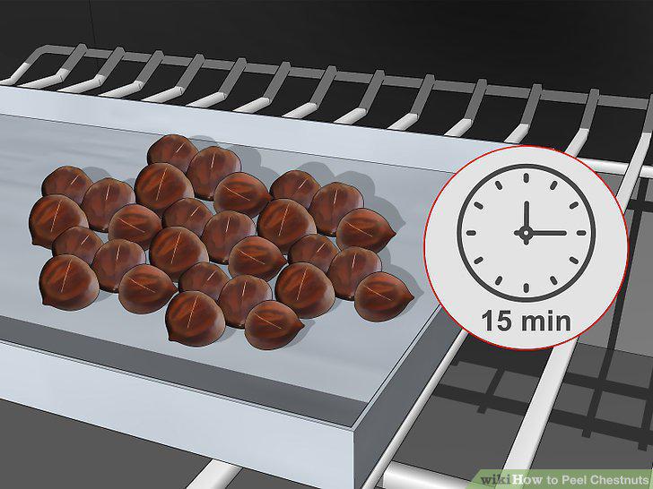 Step 12