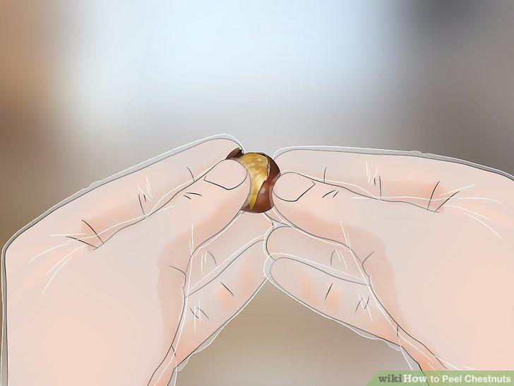 Step 14
