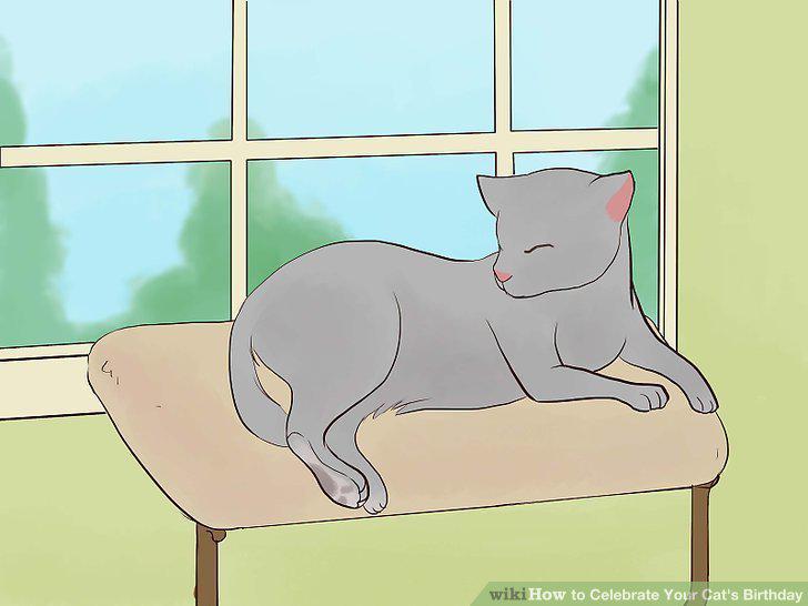 Step 11