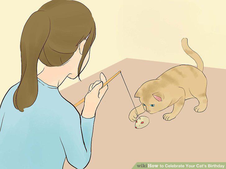 Step 12