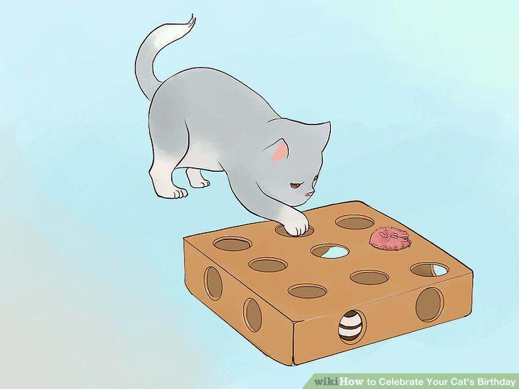 Step 9