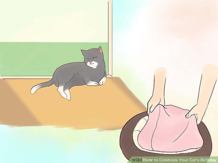 Step 10