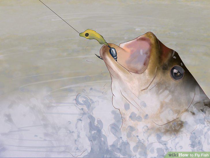 Step 12