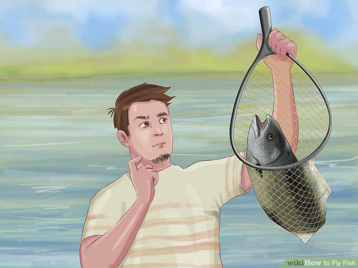 Step 14