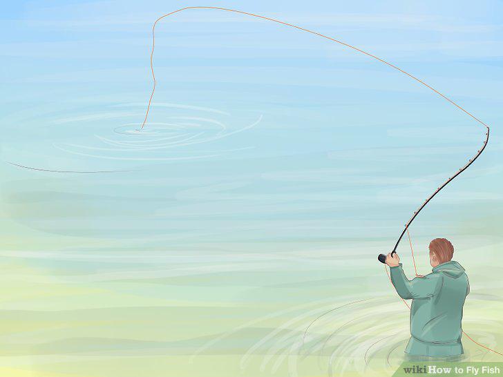 Step 9