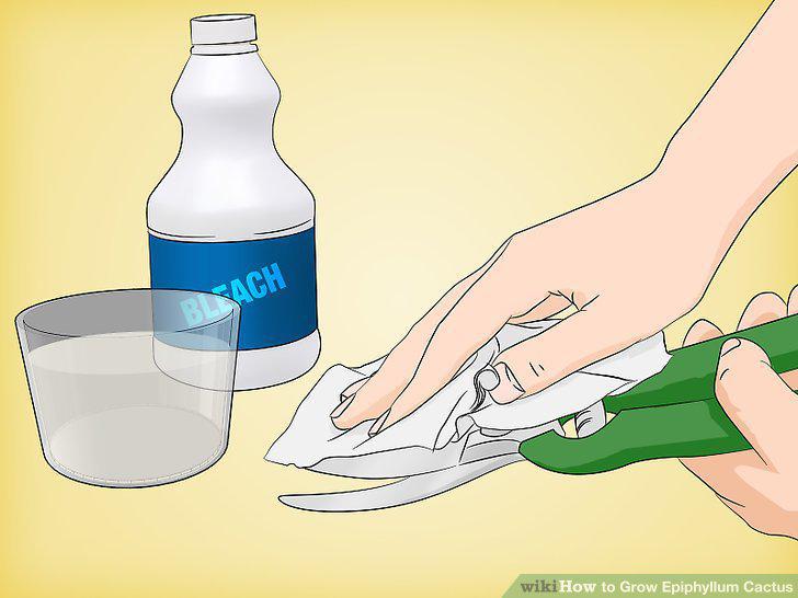 Step 11