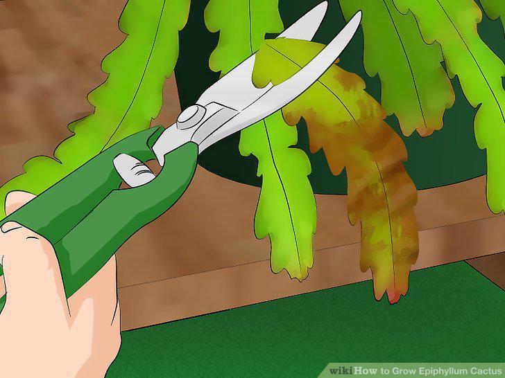 Step 13