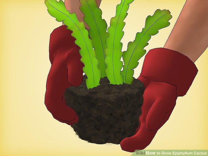Step 10