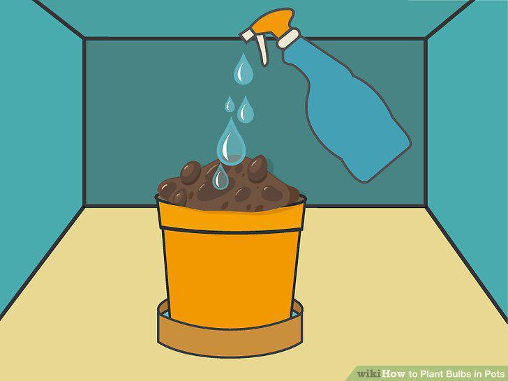 Step 11