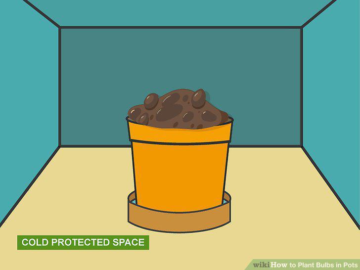 Step 10