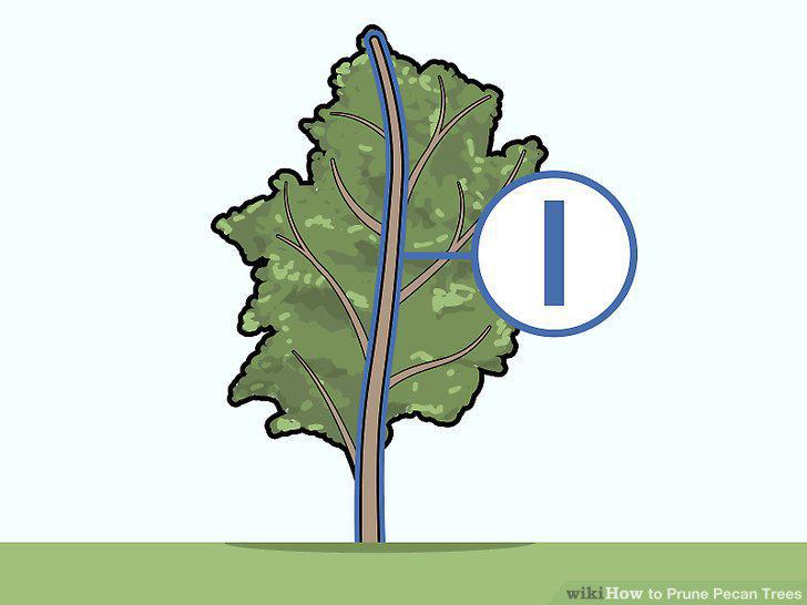 Step 6