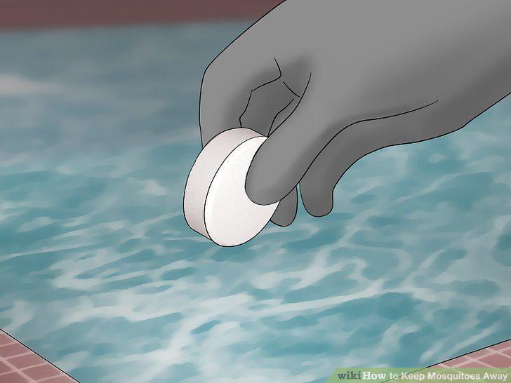 Step 12
