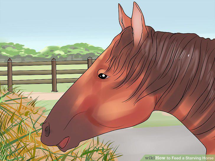 Step 11