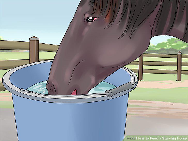 Step 12