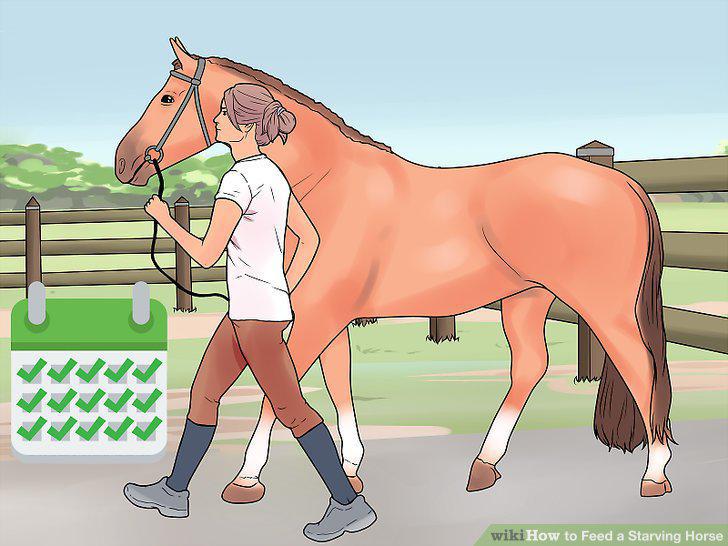 Step 14