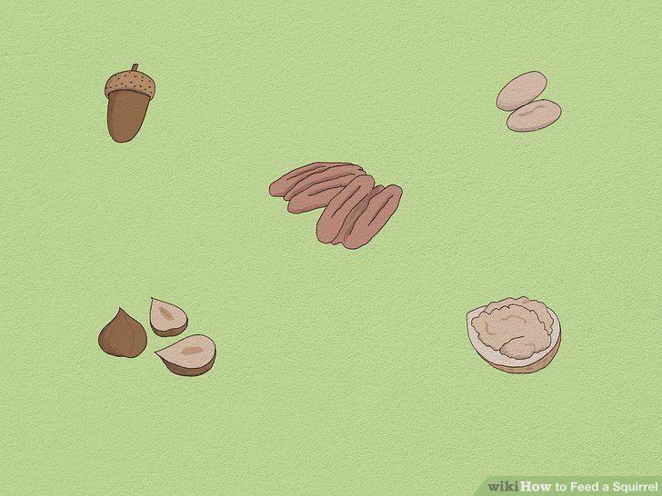 Step 5