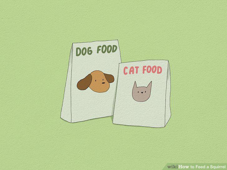 Step 10