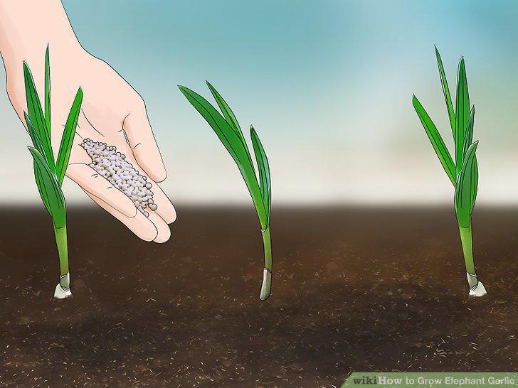 Step 8