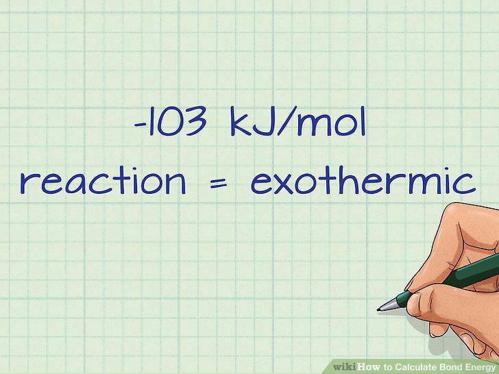 Step 12